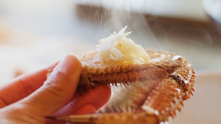 北海道の毛蟹の食べ方・ゆで方を私が解説！天ぷらの作り方も